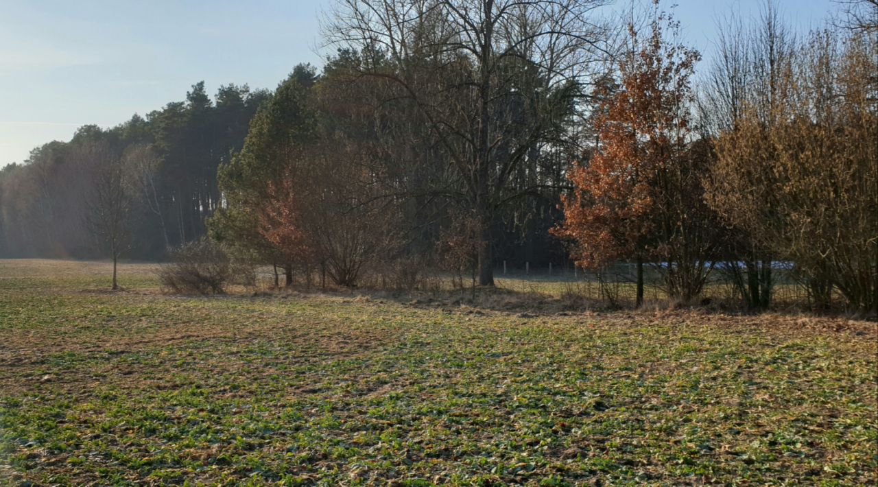 Działka budowlana Celiny. Zdjęcie 3