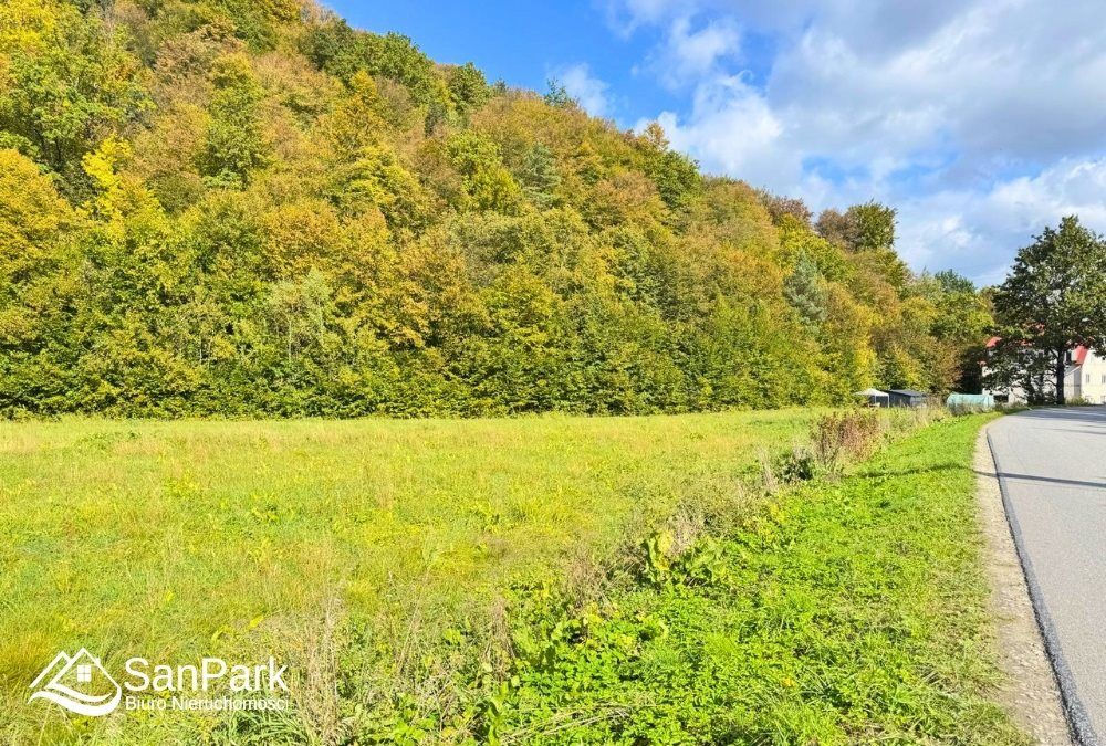 Działka rolna Wołkowyja. Zdjęcie 4