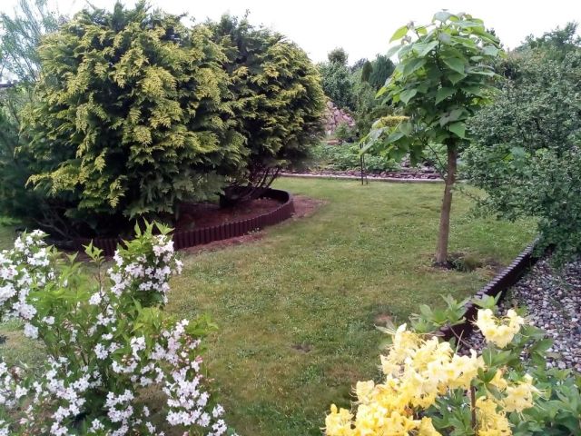 Działka rod Ostrów Wielkopolski. Zdjęcie 1