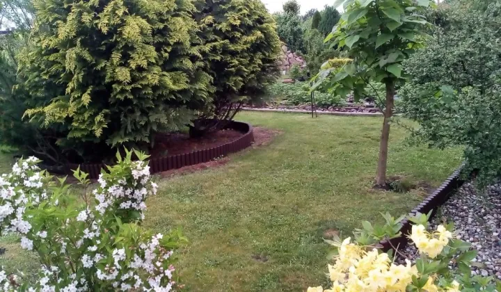 Działka rod Ostrów Wielkopolski