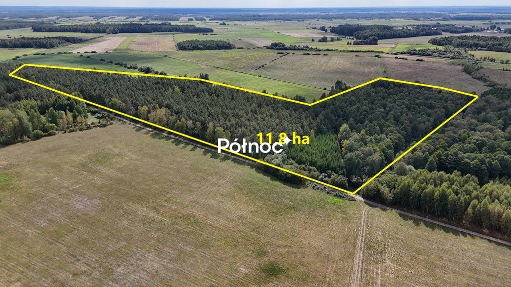Działka leśna Pieńczykowo. Zdjęcie 2