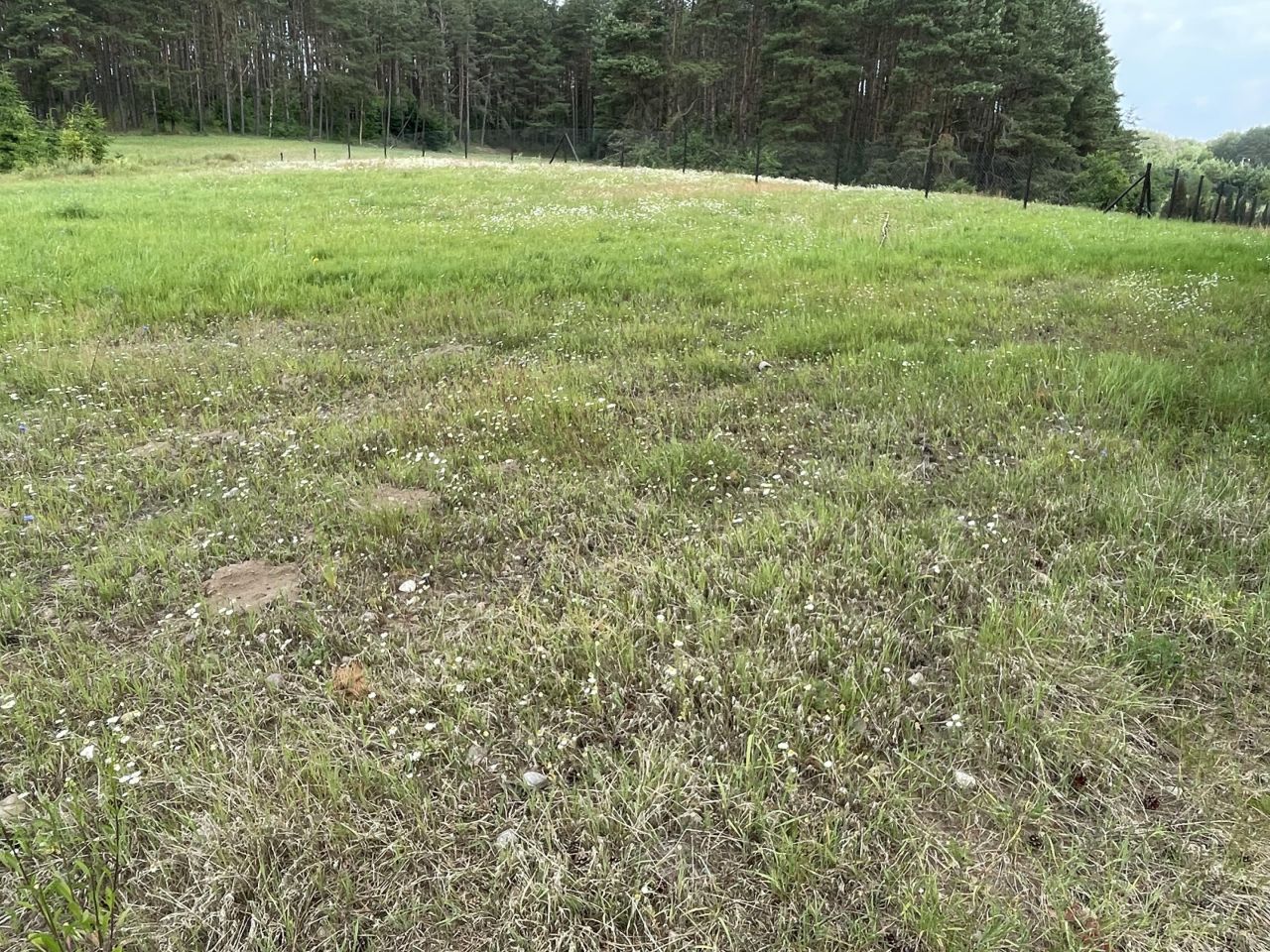 Działka budowlana Borzestowska Huta. Zdjęcie 3