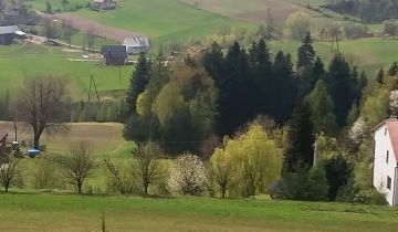 Działka budowlana Bartkowa-Posadowa