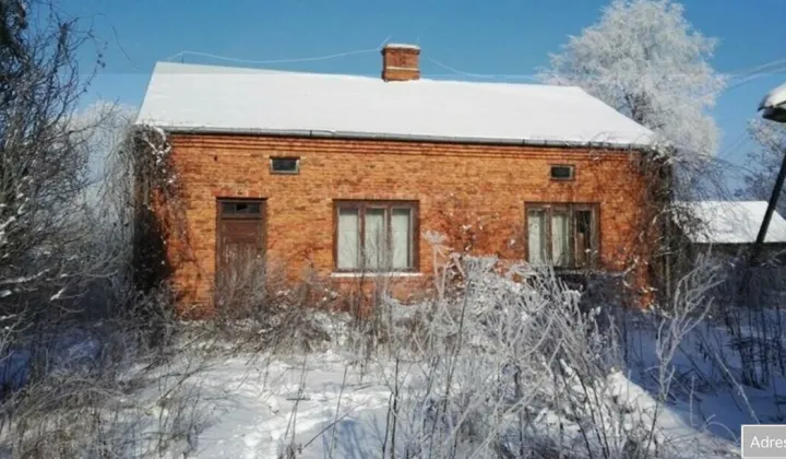 Działka siedliskowa Horostyta