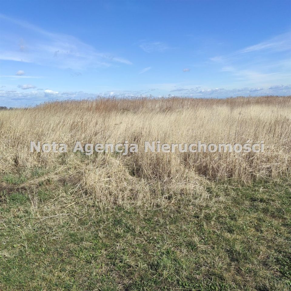 Działka inwestycyjna Świebodzice Ciernie, ul. Przemysłowa. Zdjęcie 3