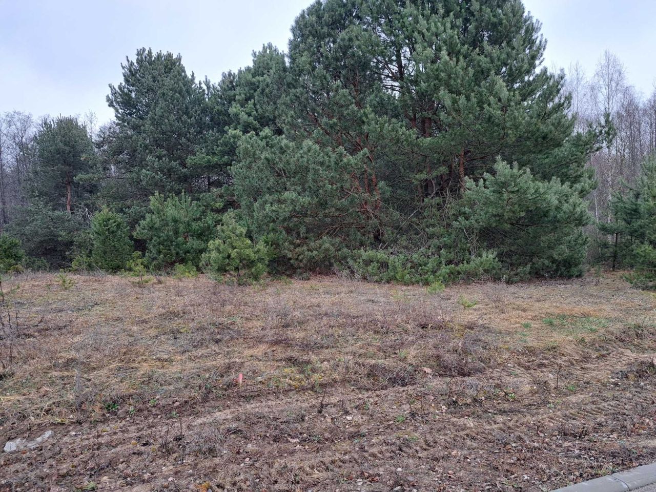 Działka rekreacyjna Suchodół Szlachecki. Zdjęcie 7