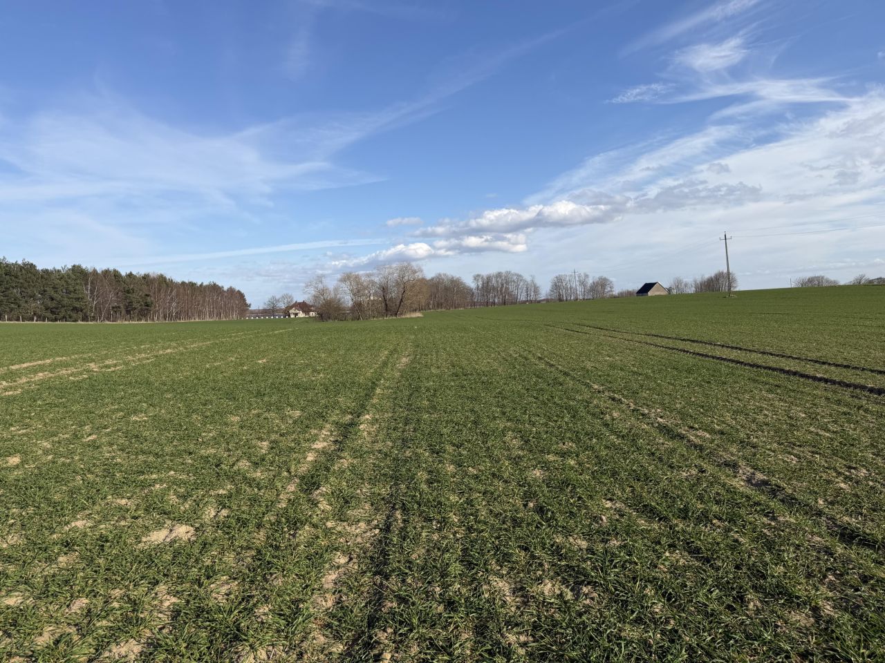 Działka rolna Łuskowo, Łuskowo. Zdjęcie 5