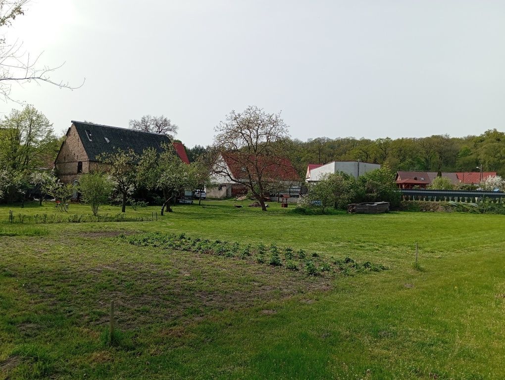 dom wolnostojący Dąbroszyn. Zdjęcie 6