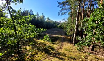 Działka budowlana Kazuń-Bielany, ul. Krótka