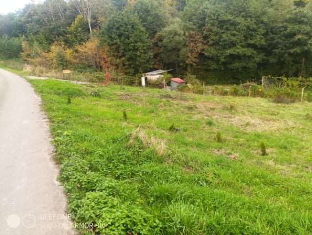 Działka rolno-budowlana Golcowa. Zdjęcie 7