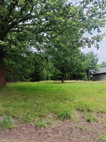 Działka rolno-budowlana Błotnica. Zdjęcie 1