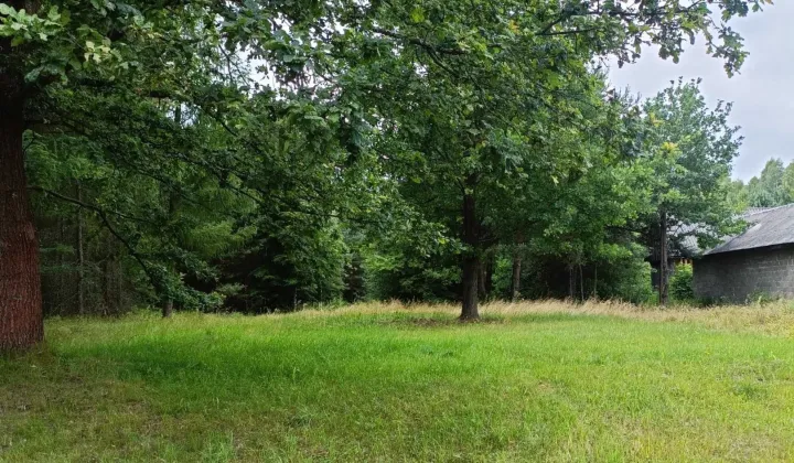 Działka rolno-budowlana Błotnica