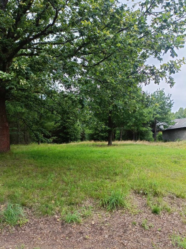 Działka rolno-budowlana Błotnica