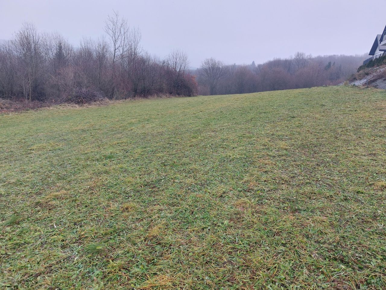 Działka budowlana Wola Kurowska Wola Ubiedzka. Zdjęcie 2