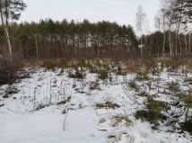 Działka budowlana Grochowe. Zdjęcie 1