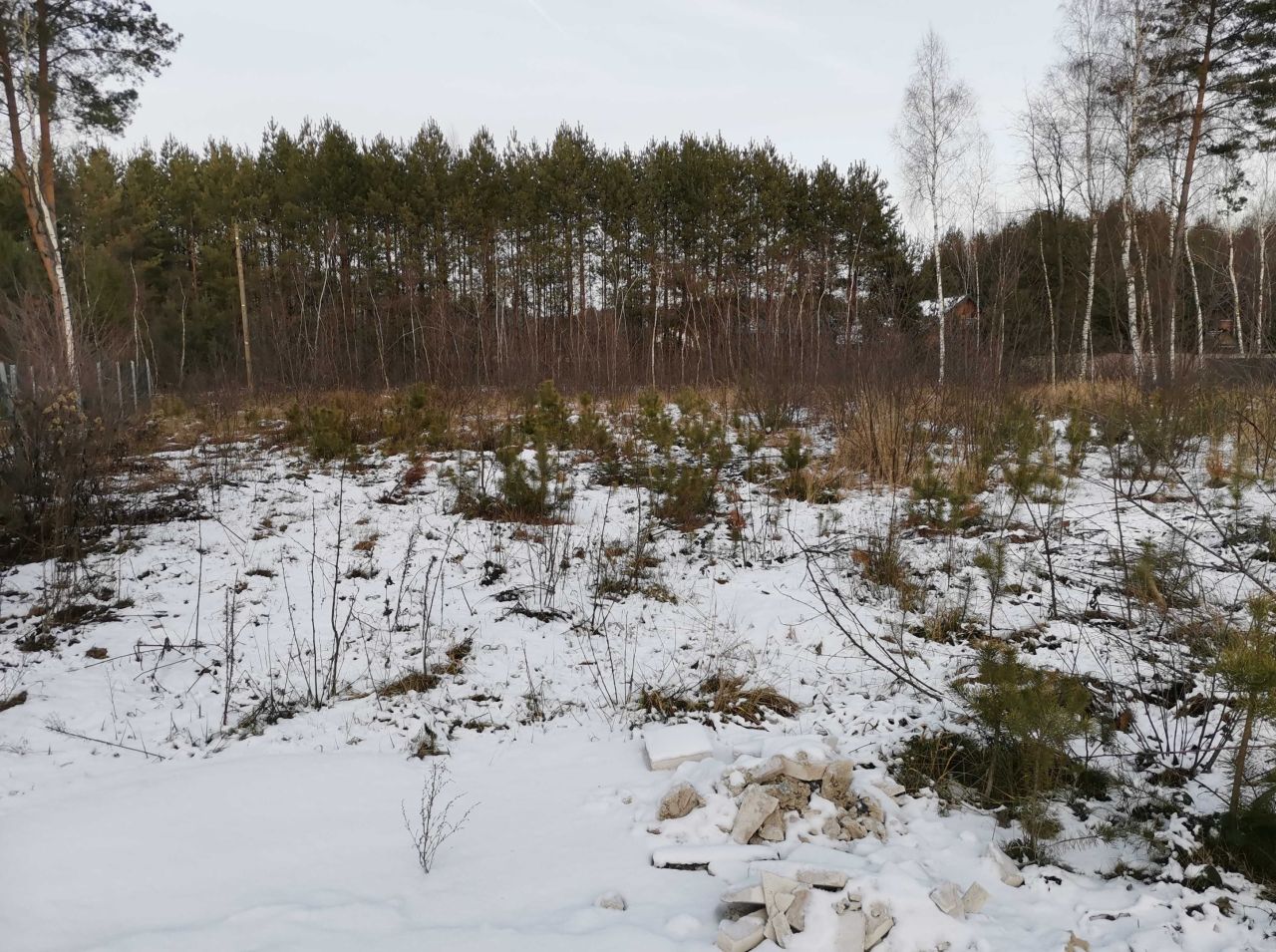 Działka budowlana Grochowe. Zdjęcie 2
