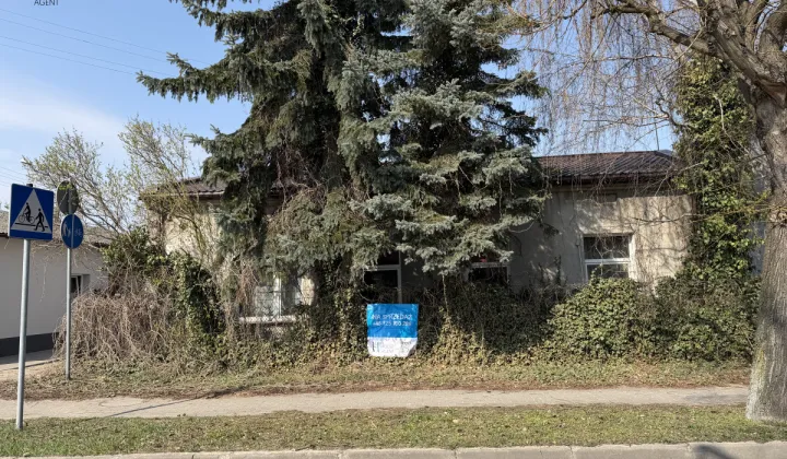 dom wolnostojący, 6 pokoi Łowicz, ul. Adama Mickiewicza