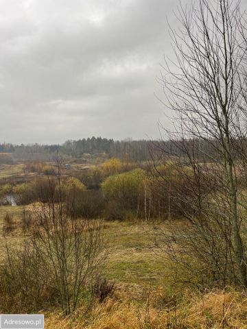 Działka inwestycyjna Stręgiel. Zdjęcie 1