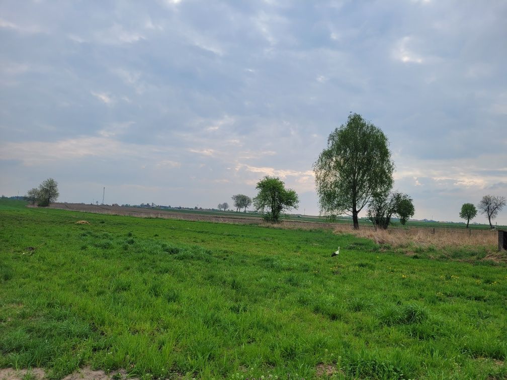 Działka budowlana Lędziny Blich. Zdjęcie 2