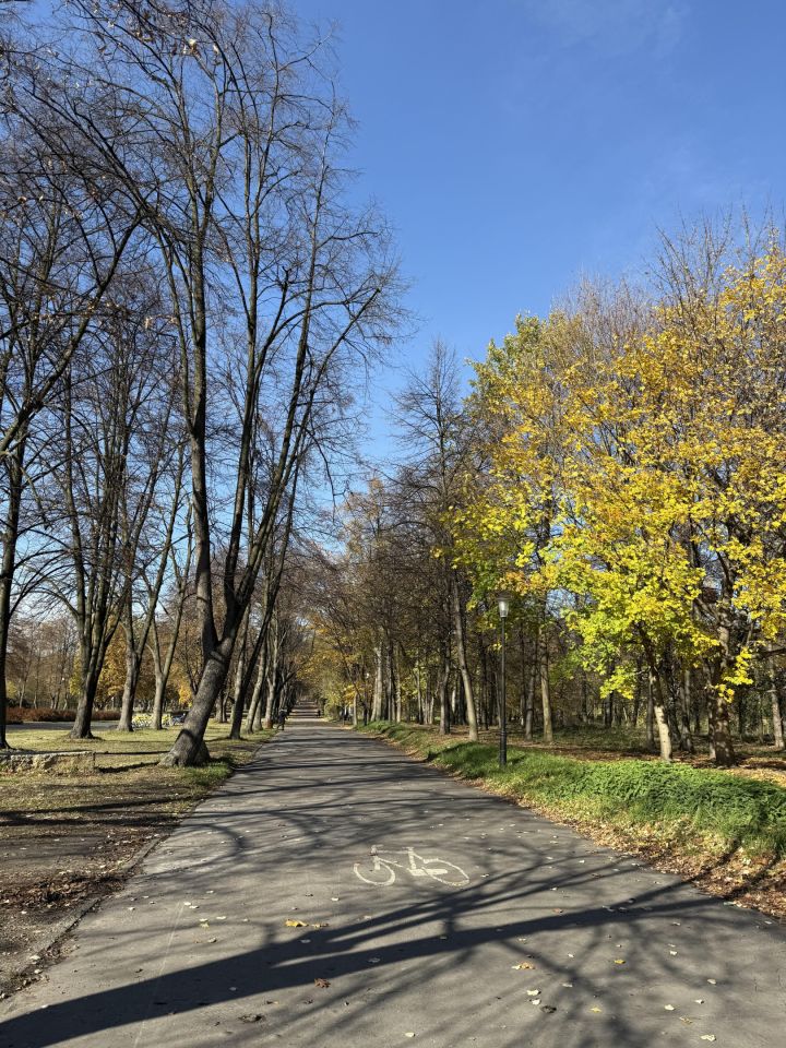 Mieszkanie 2-pokojowe Katowice Dąb, ul. Sportowa. Zdjęcie 11