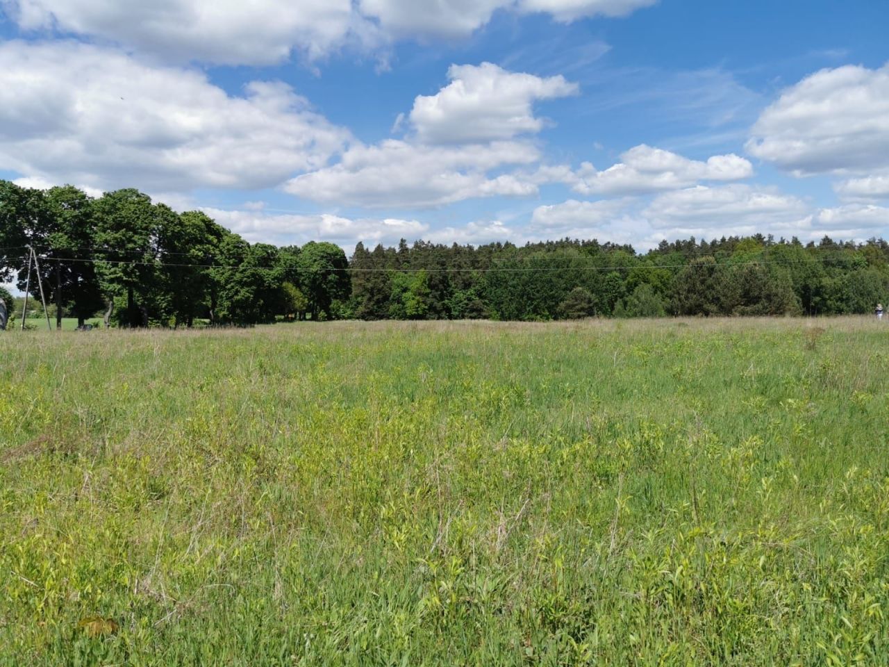 Działka rolno-budowlana Komorowo. Zdjęcie 7