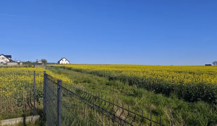 Działka siedliskowa Żabia Wola