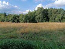 Działka budowlana Głogoczów. Zdjęcie 2