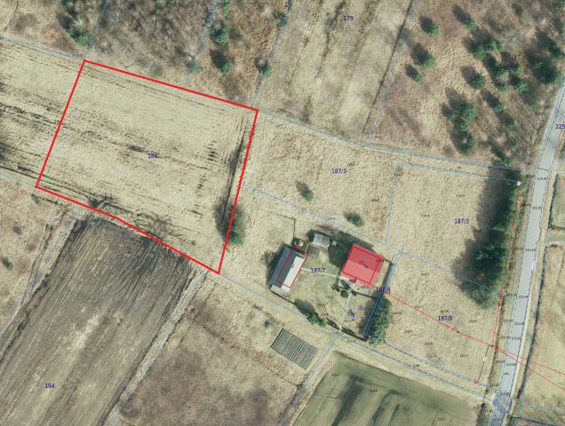 Działka rolna Nowa Jastrząbka Pniaki. Zdjęcie 1