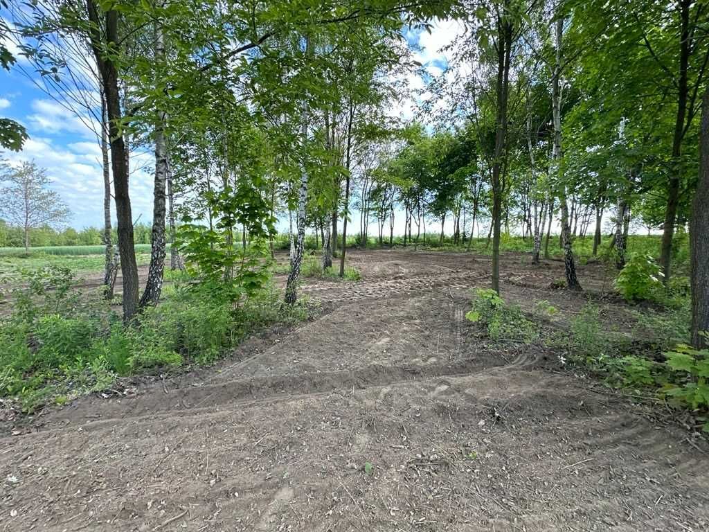 Działka budowlana Stare Skoszewy. Zdjęcie 1