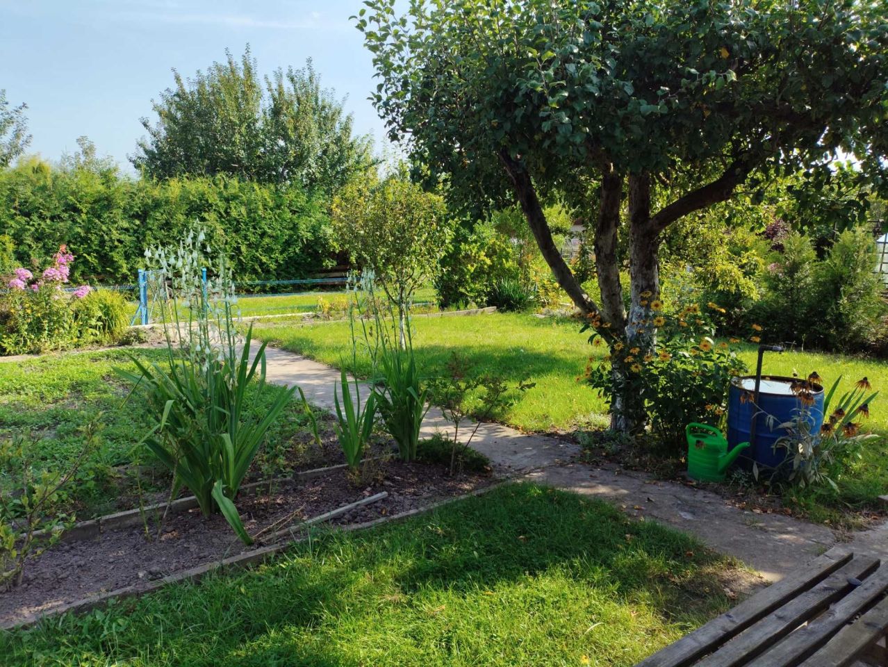 Działka rod Wałcz Raduń. Zdjęcie 8