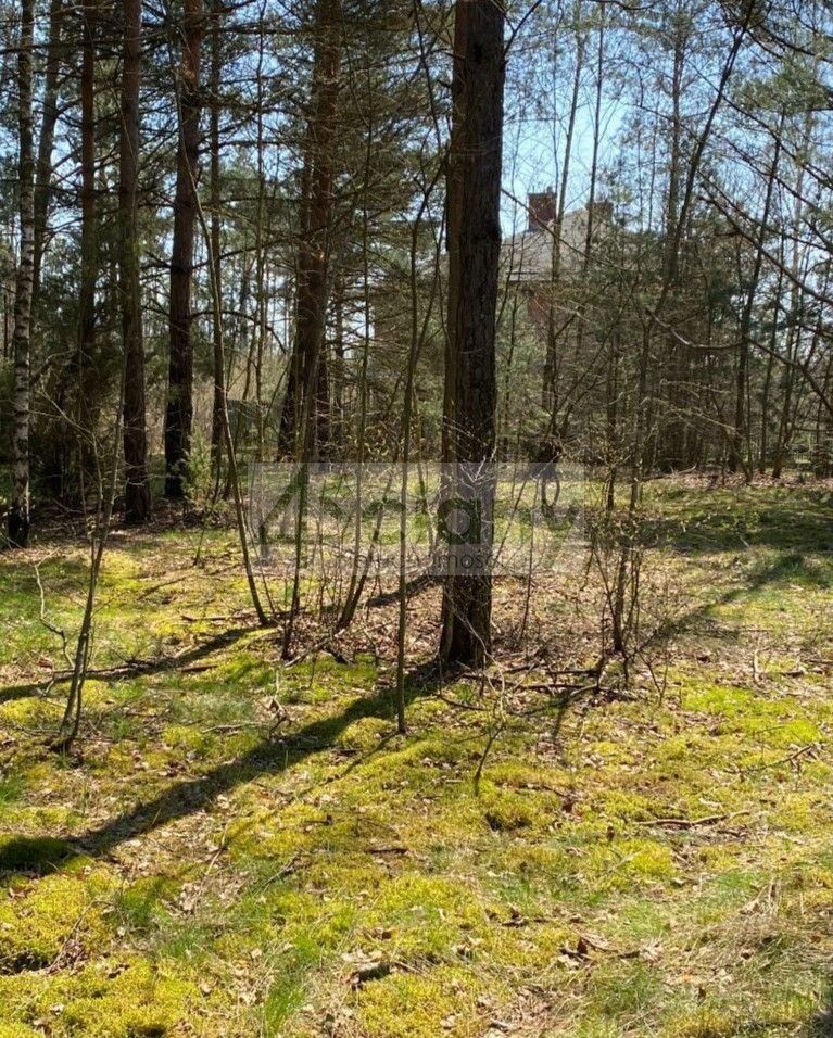 Działka budowlana Józefów. Zdjęcie 1