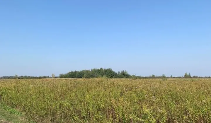 Działka rolna Tarnobrzeg Wielowieś