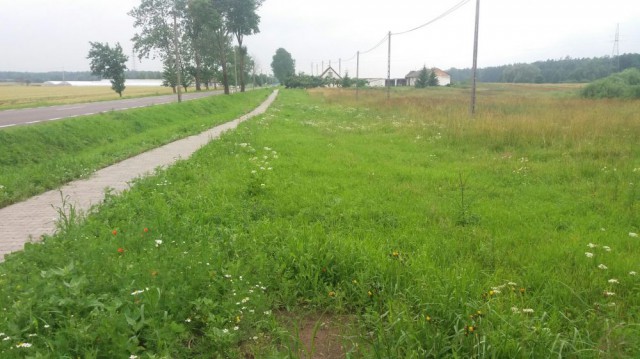 Działka rolno-budowlana Osieka. Zdjęcie 1