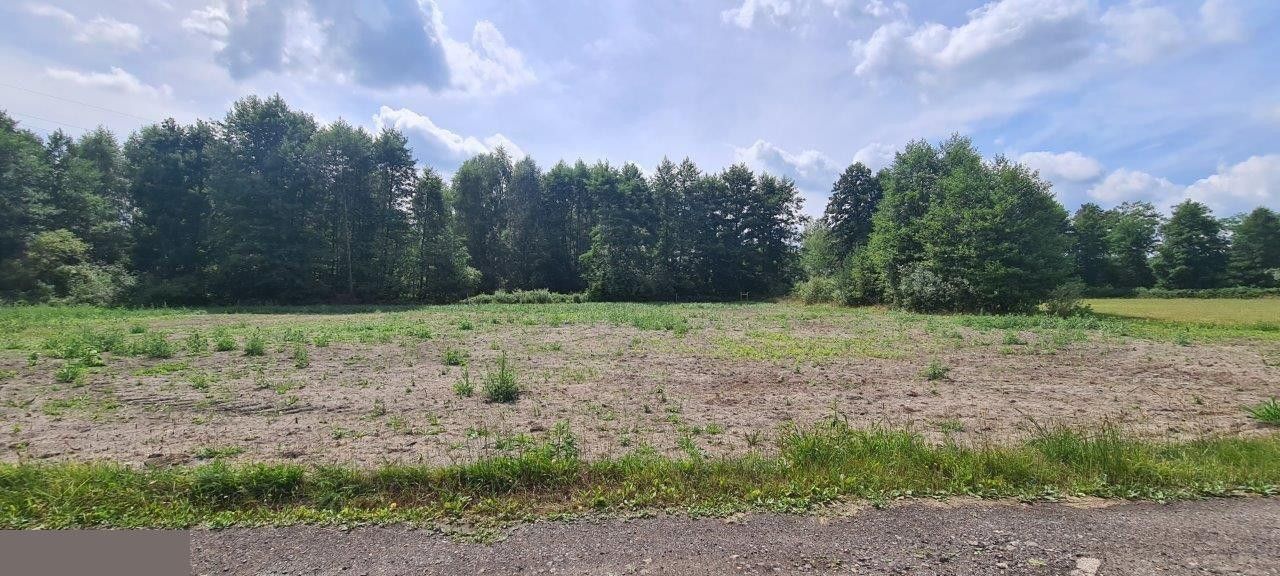 Działka rolno-budowlana Franciszków. Zdjęcie 8