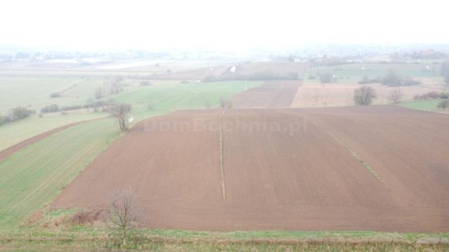 Działka rolna Nieszkowice Małe. Zdjęcie 6