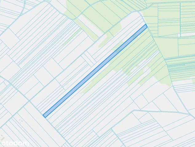 Działka rolna Pienice. Zdjęcie 1