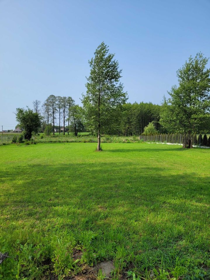 siedlisko Poręba-Kocęby. Zdjęcie 3