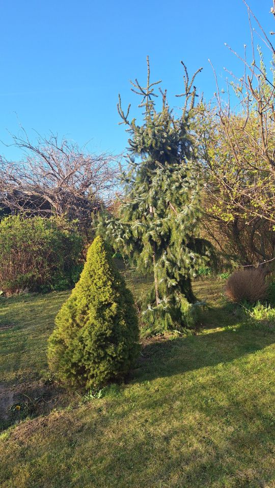 Działka rod Koszalin Północ, ul. Aleja Europejska. Zdjęcie 9