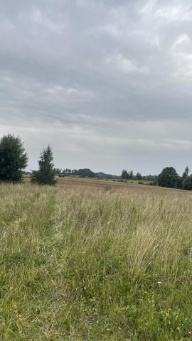 Działka rolno-budowlana Tuchlino. Zdjęcie 12