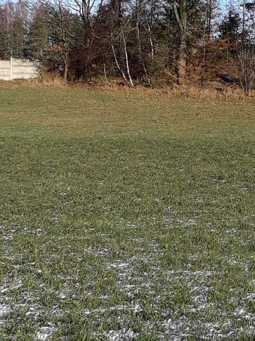 Działka budowlana Kościerzyna-Wybudowanie. Zdjęcie 3