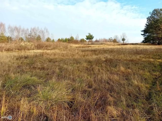 Działka inwestycyjna Daleszyce. Zdjęcie 12