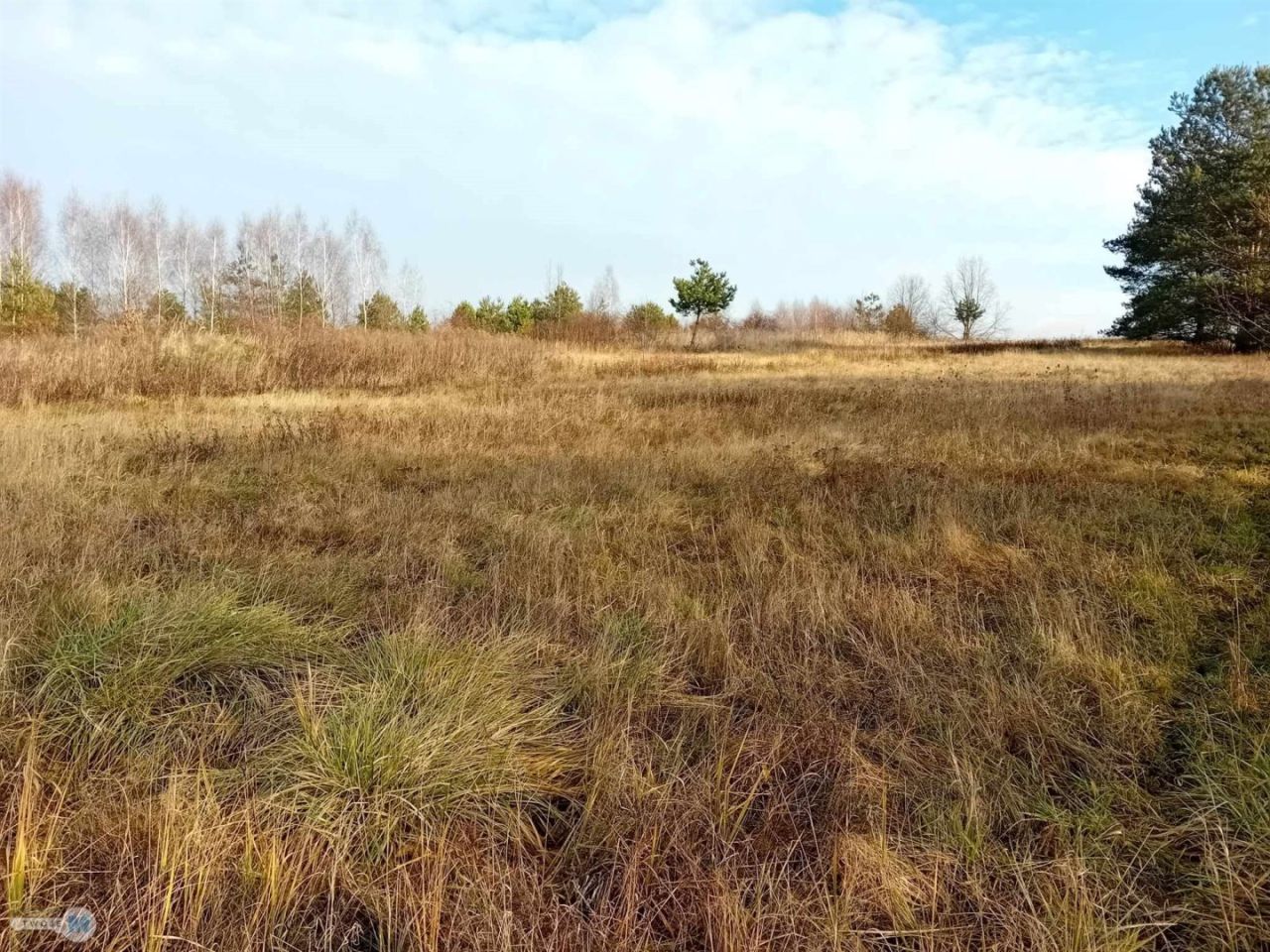 Działka inwestycyjna Daleszyce. Zdjęcie 12