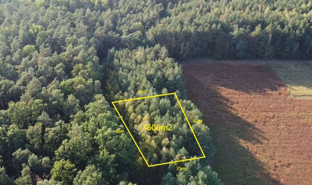 Działka budowlana Zalesie Borowe