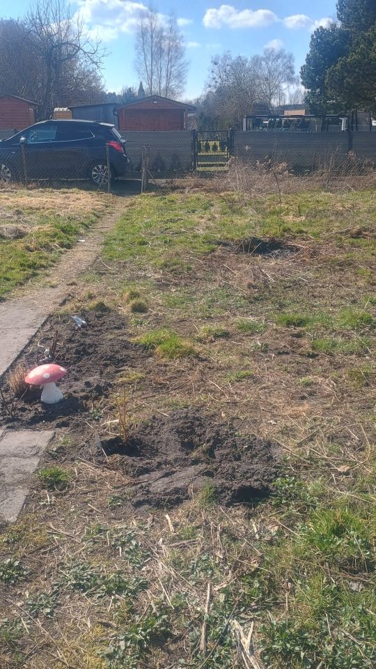 Działka rod Szczecin Wielgowo, Tatarakowa. Zdjęcie 3