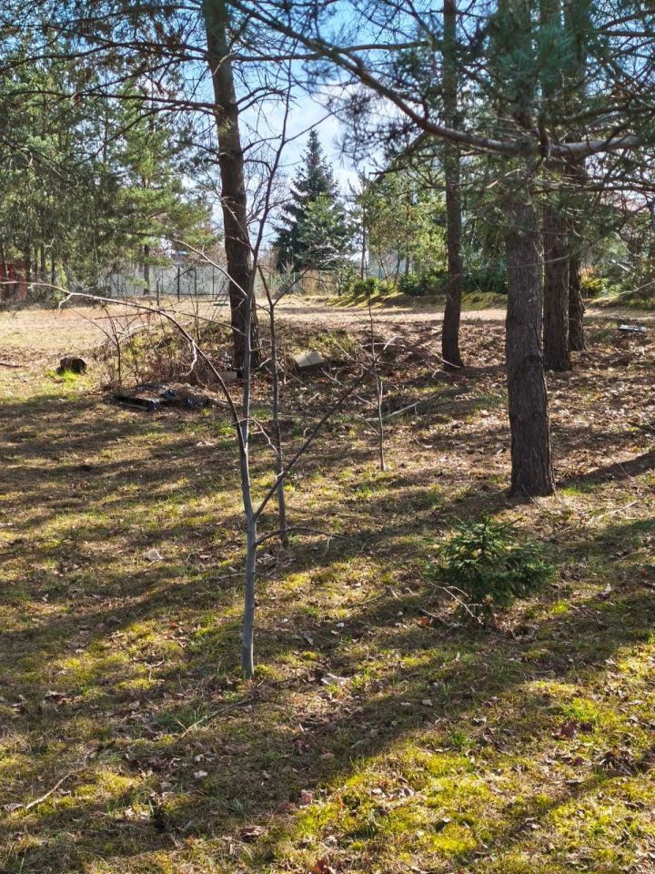Działka budowlana Osiek. Zdjęcie 4