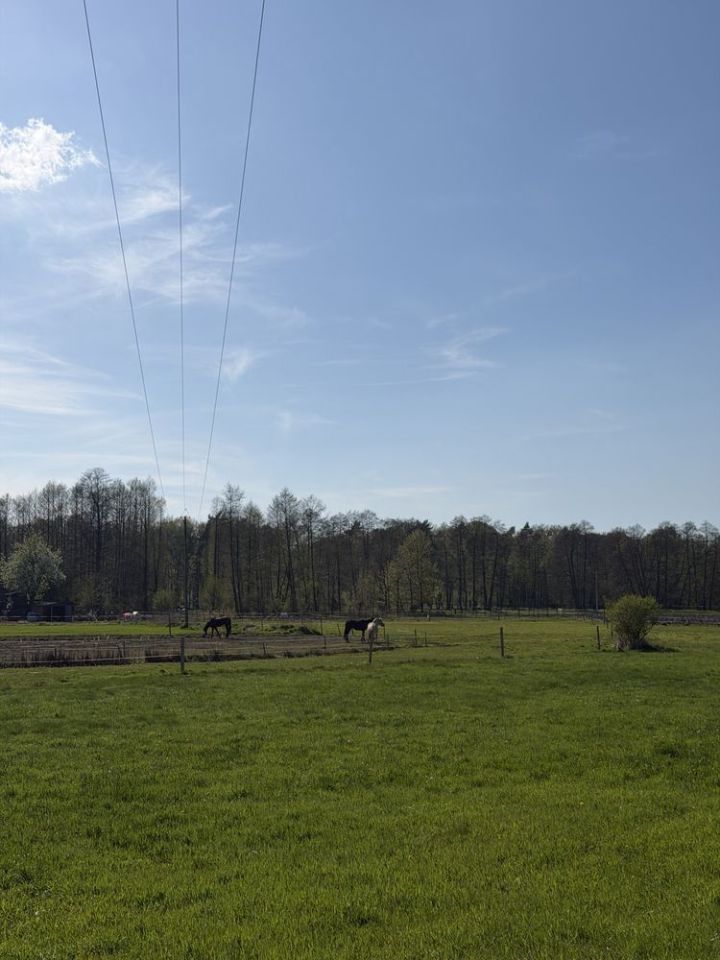 Działka budowlana Łaziska Górne Brada, ul. Cieszyńska. Zdjęcie 7