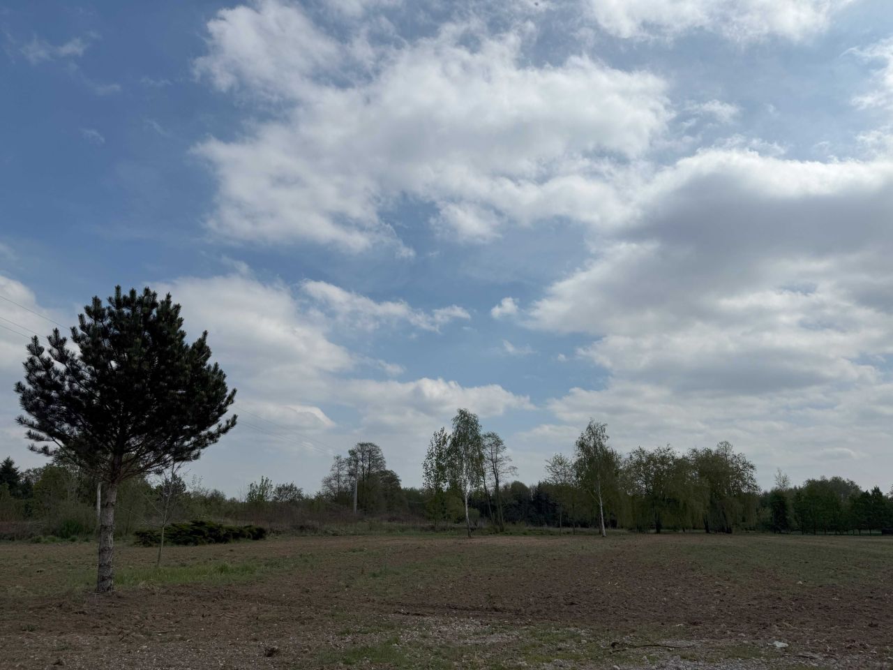 Działka budowlana Górsk. Zdjęcie 4