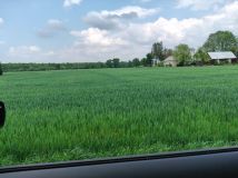 Działka budowlana Łuszczów Drugi. Zdjęcie 1