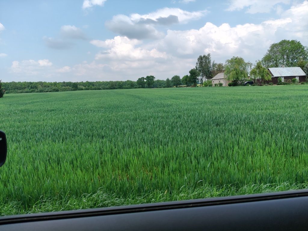Działka budowlana Łuszczów Drugi. Zdjęcie 2
