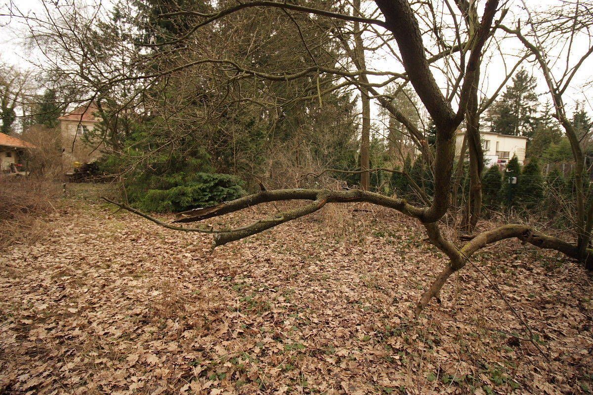 Działka budowlana Puszczykowo Puszczykówko, ul. Cyryla Ratajskiego